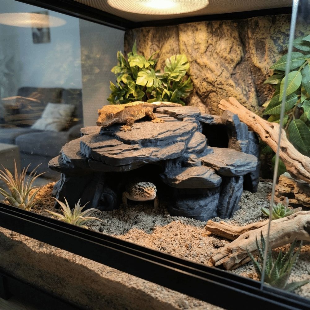 3D Printing Fish Tank Rockery  - Aquarium Marine Rock ulasan dan harga