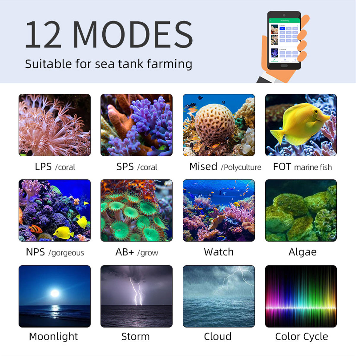 T95 Sea 50W Full Spectrum Mari - Marine Aquarium Timing ulasan dan harga