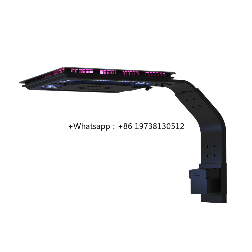 Ethereal Infinite E8-230 Multi - Marine Aquarium & Regional Centre Photos ulasan dan harga