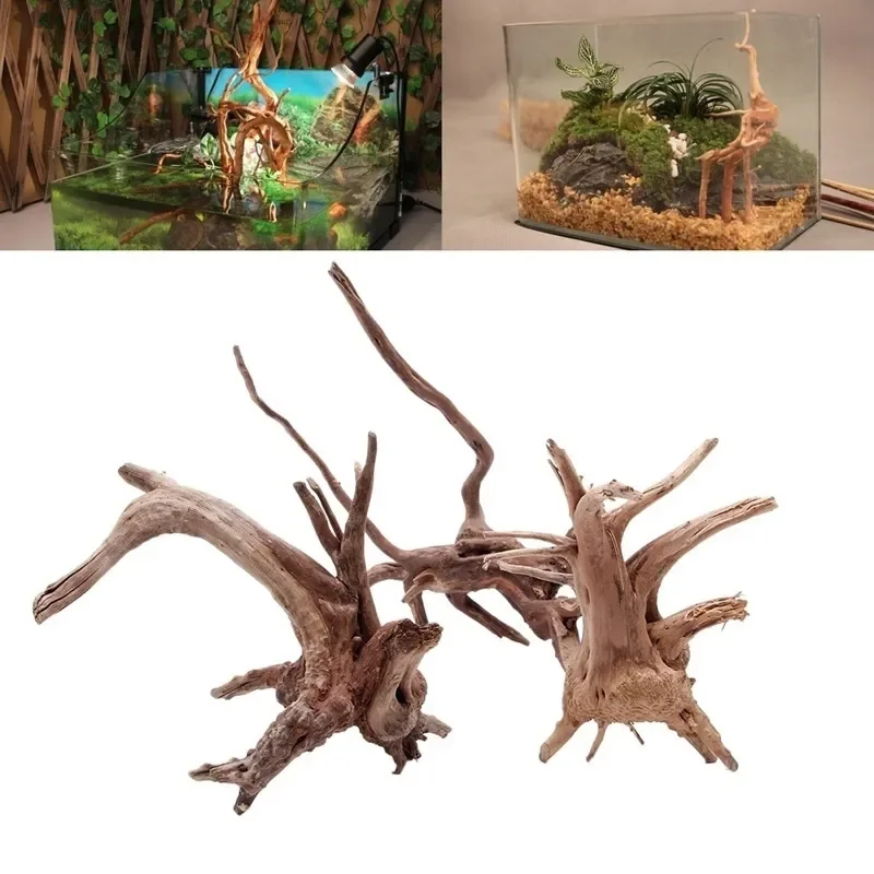 Natural Tree Trunk Driftwood A - Aquarium Marine Rock ulasan dan harga