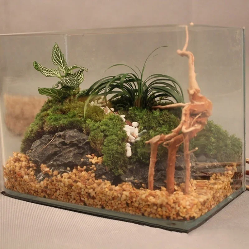 Natural Tree Trunk Driftwood A - Aquarium Marine Rock ulasan dan harga