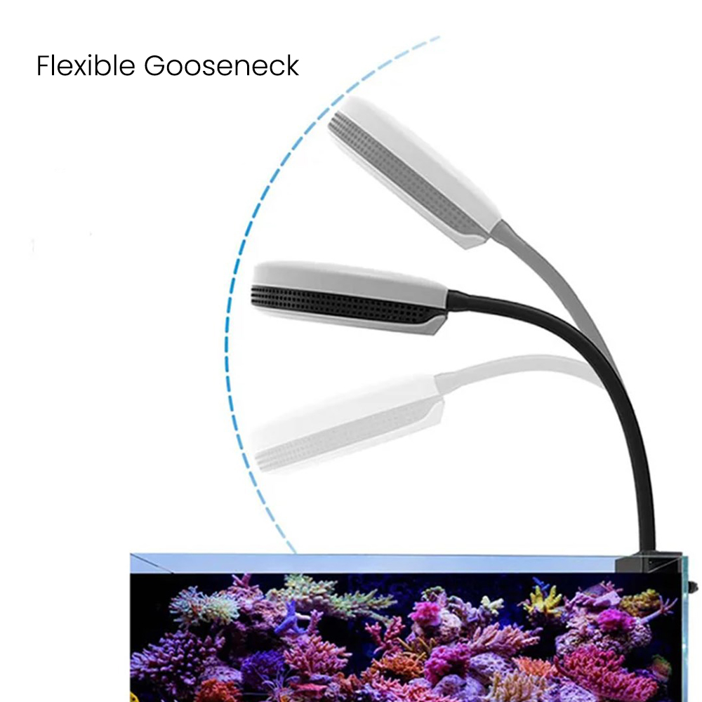Spectra SP20 20W Aquarium LED  - Aquarium Marine Lights ulasan dan harga