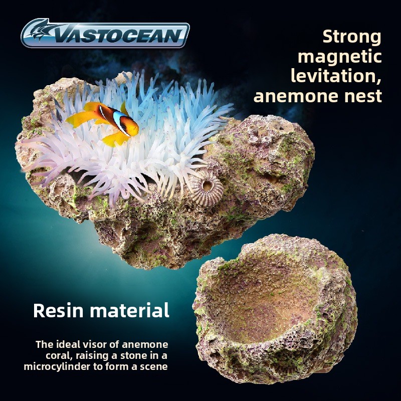 VASTOCEAN Magnetic Anemone Hol - Aquarium Marine Rock ulasan dan harga