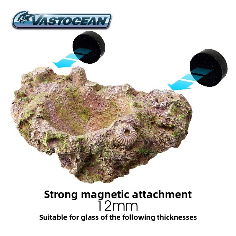 VASTOCEAN Magnetic Anemone Hol - Aquarium Marine Rock ulasan dan harga