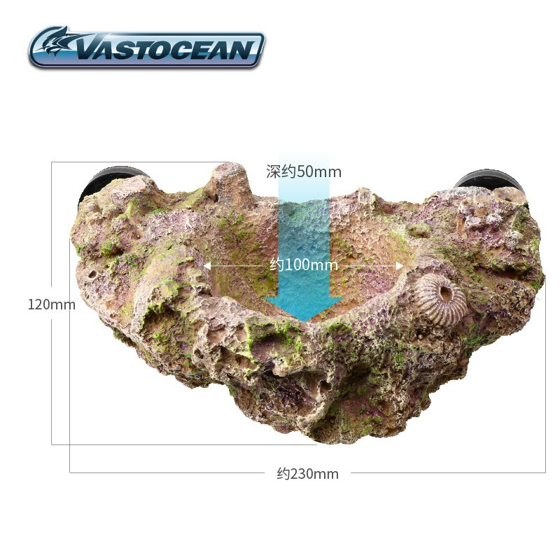 VASTOCEAN Magnetic Anemone Hol - Aquarium Marine Rock ulasan dan harga