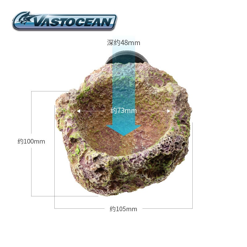 VASTOCEAN Magnetic Anemone Hol - Aquarium Marine Rock ulasan dan harga
