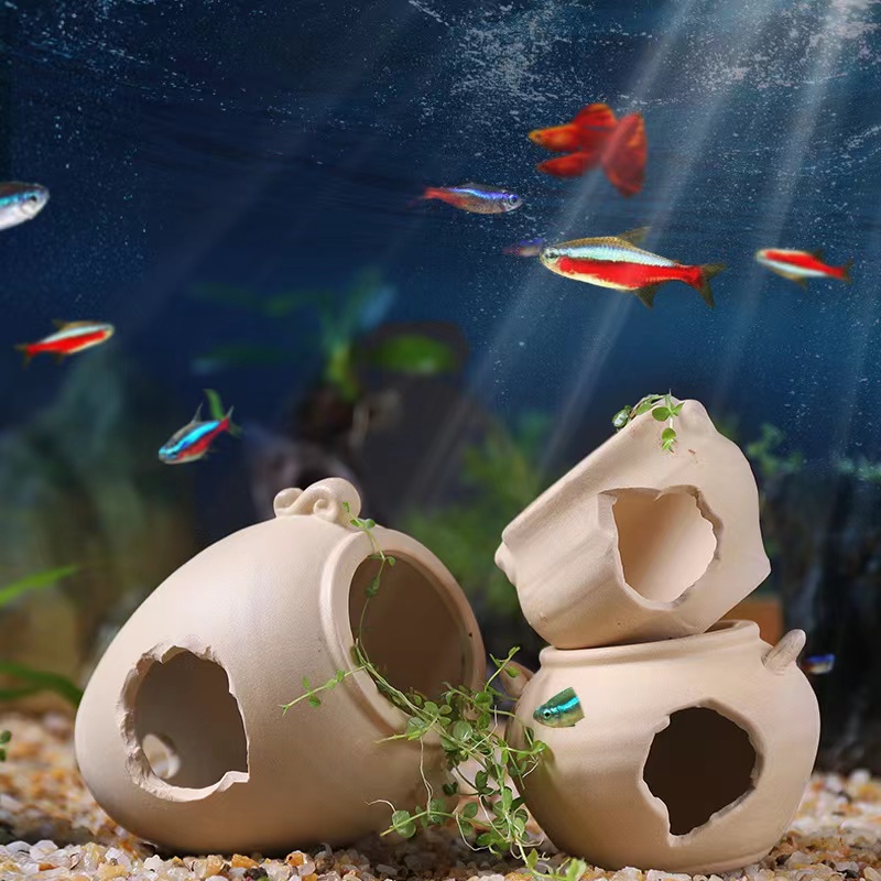 Aquarium Decoration Pottery Sc - Aquarium Marine Rock ulasan dan harga