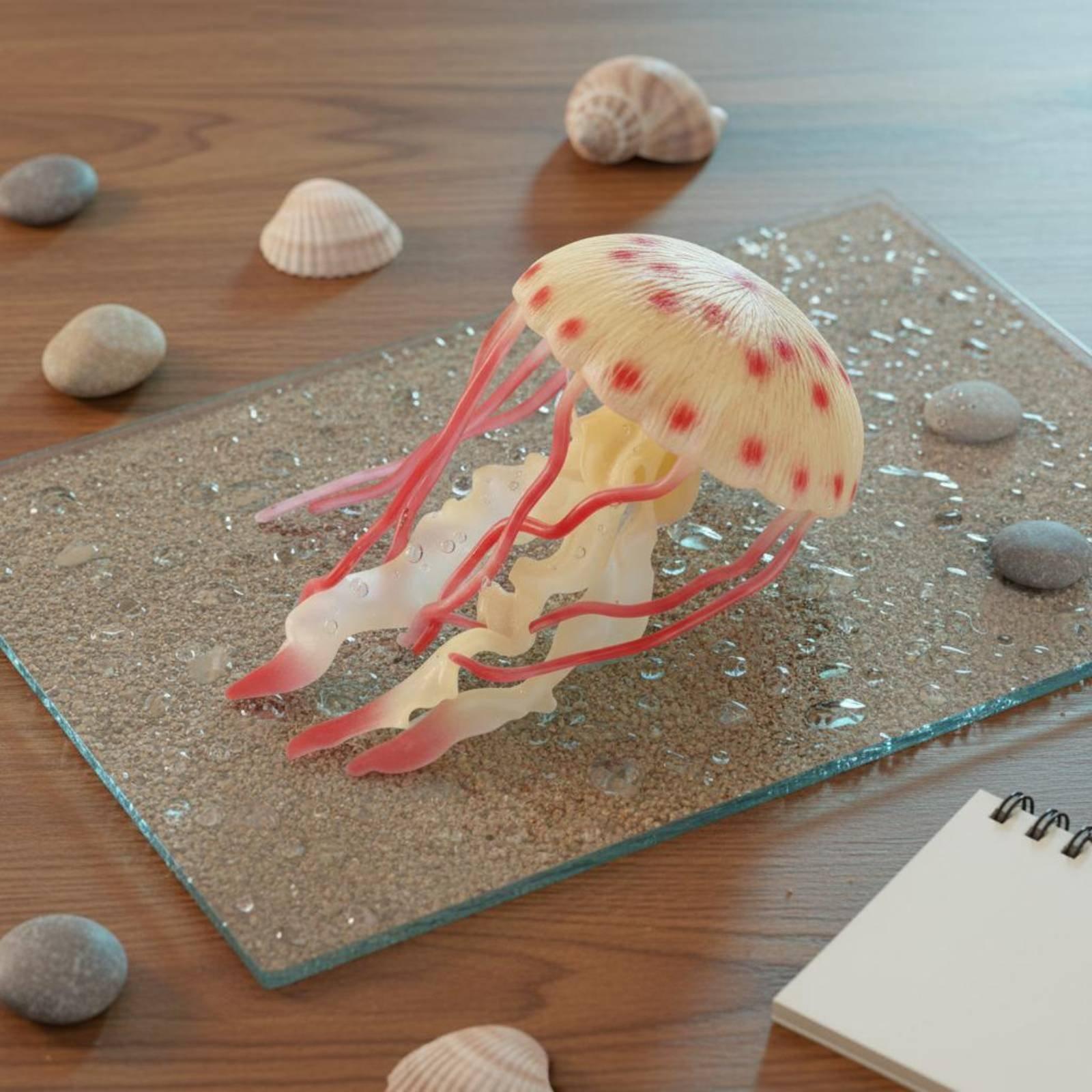 Crab Figure Realistic Plastic  - Marine Aquarium & Regional Centre Photos ulasan dan harga