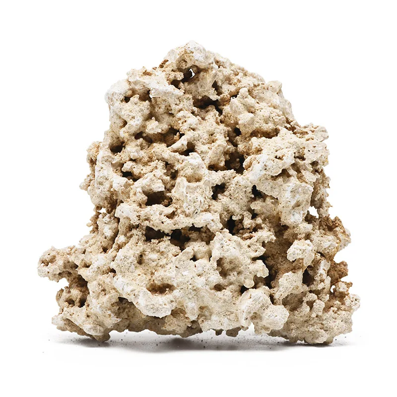 Vastocean Indonesia Java Dry R - Aquarium Marine Rock ulasan dan harga