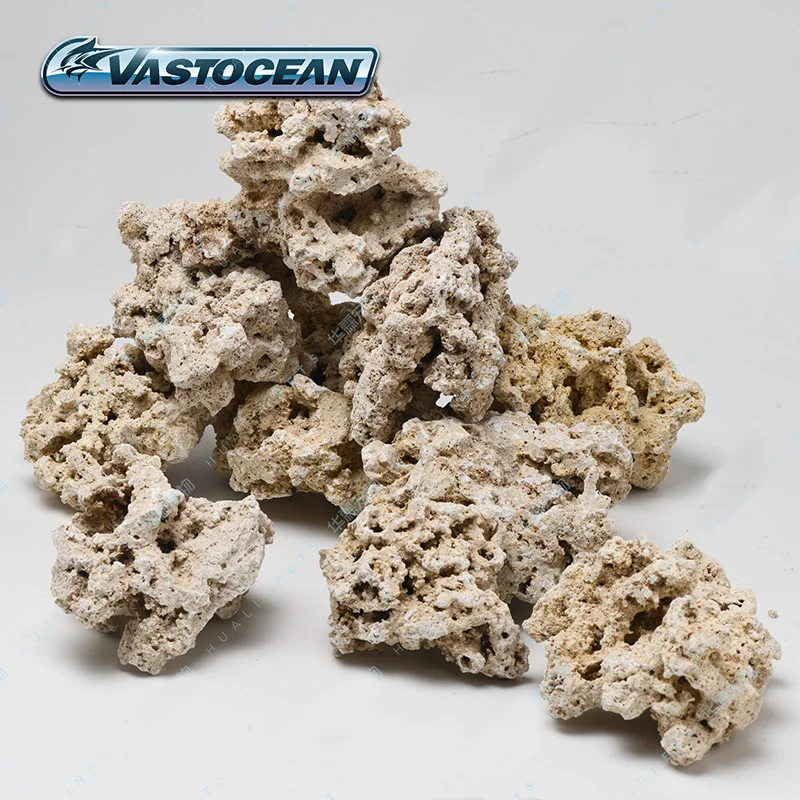 Vastocean Indonesia Java Dry R - Aquarium Marine Rock ulasan dan harga