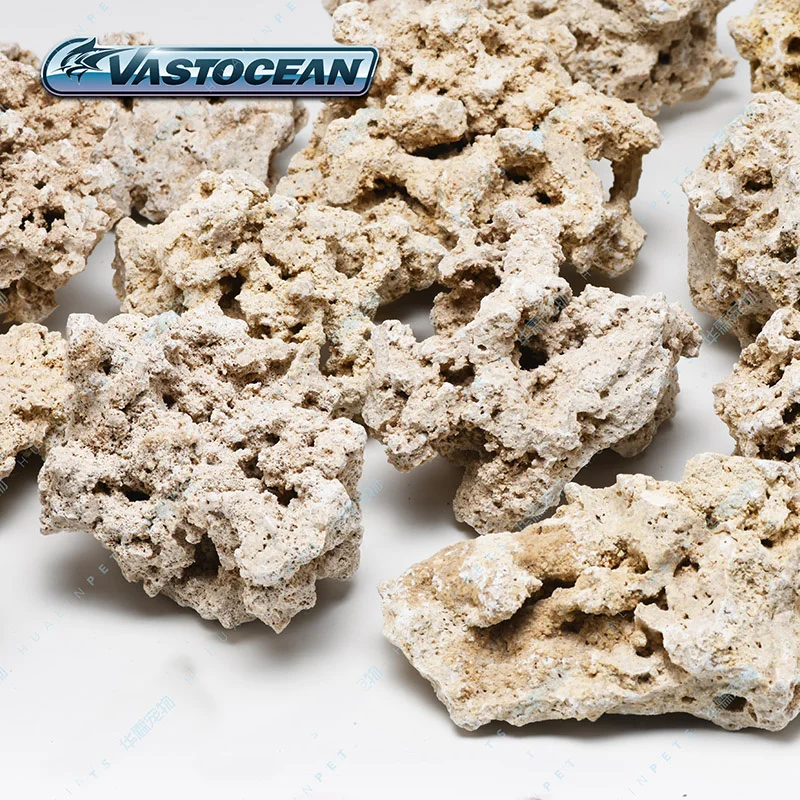 Vastocean Indonesia Java Dry R - Aquarium Marine Rock ulasan dan harga