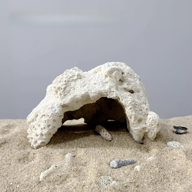 Fish Tank Character Shaped Sto - Aquarium Marine Rock ulasan dan harga