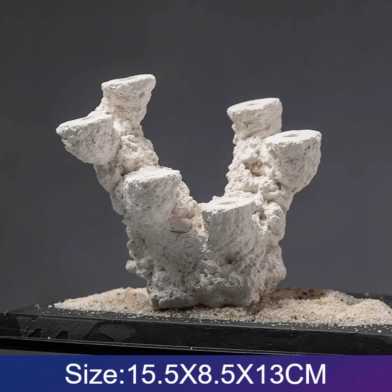 Fish Tank Landscape Material A - Aquarium Marine Rock ulasan dan harga