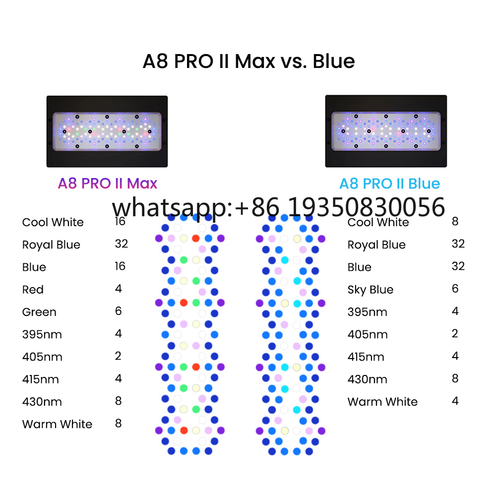 2026-A8 PRO II Max and Blue 24 - Marine Aquarium & Regional Centre Photos ulasan dan harga
