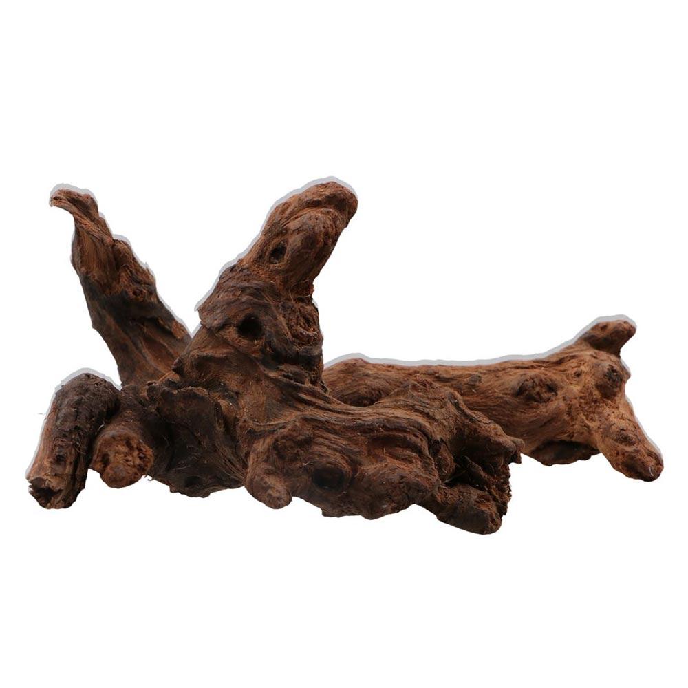 Creative Irregular Shape Coral - Aquarium Marine Rock ulasan dan harga