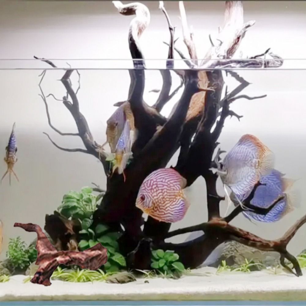 Creative Irregular Shape Coral - Aquarium Marine Rock ulasan dan harga