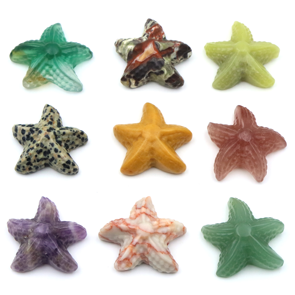 35mm Starfish Shape Statue Mar - Marine Aquarium & Regional Centre Photos ulasan dan harga