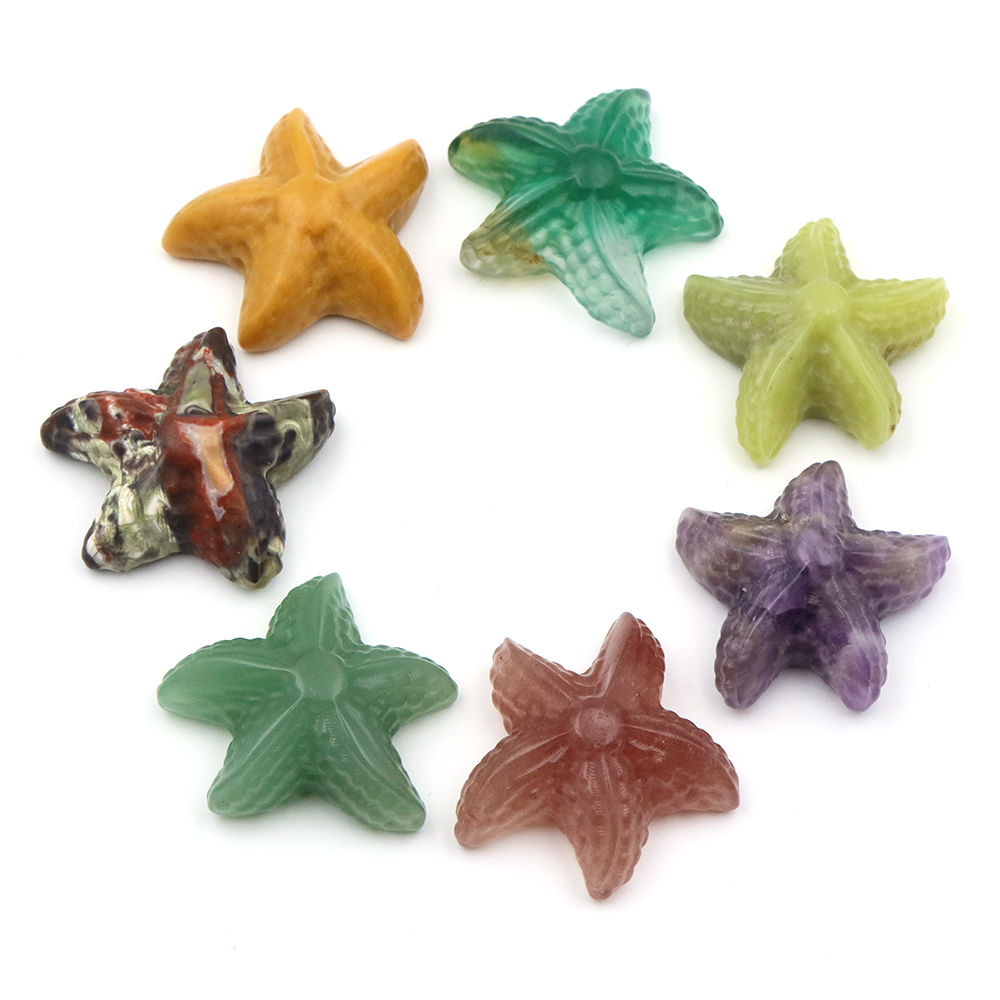 35mm Starfish Shape Statue Mar - Marine Aquarium & Regional Centre Photos ulasan dan harga