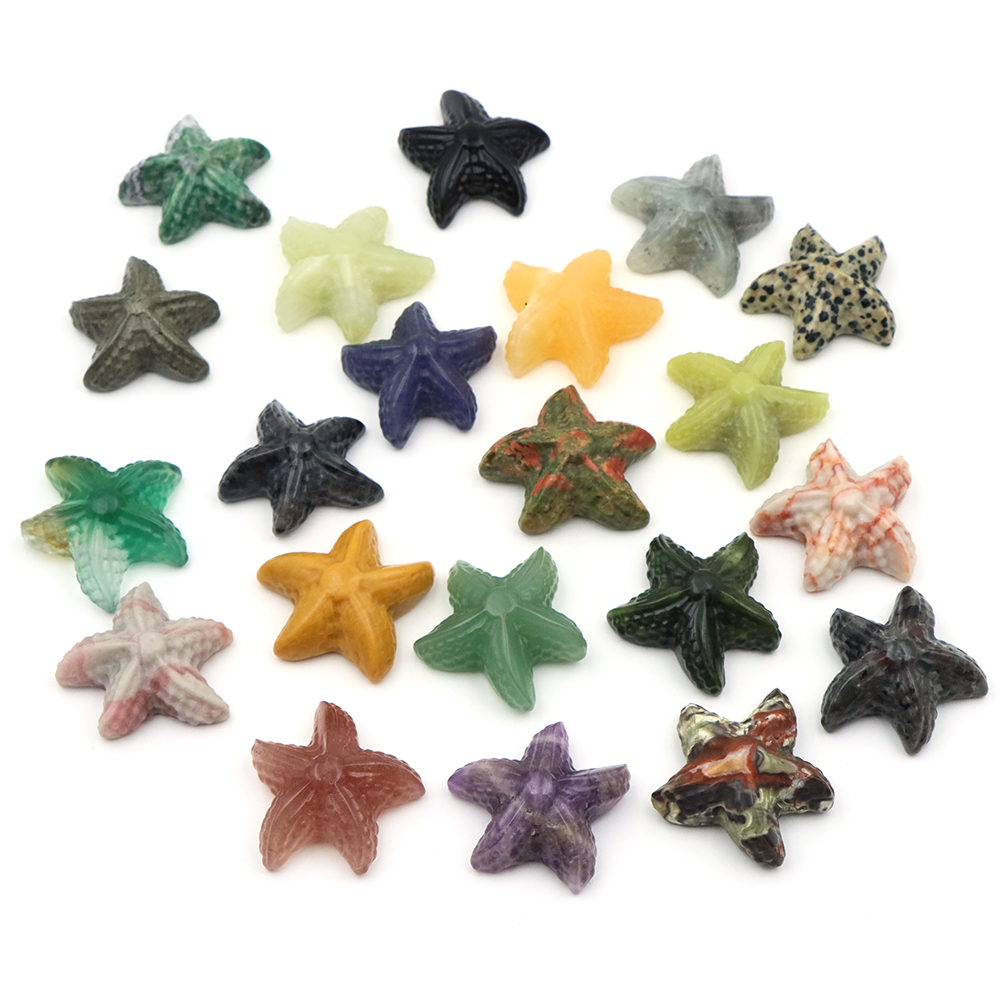 35mm Starfish Shape Statue Mar - Marine Aquarium & Regional Centre Photos ulasan dan harga