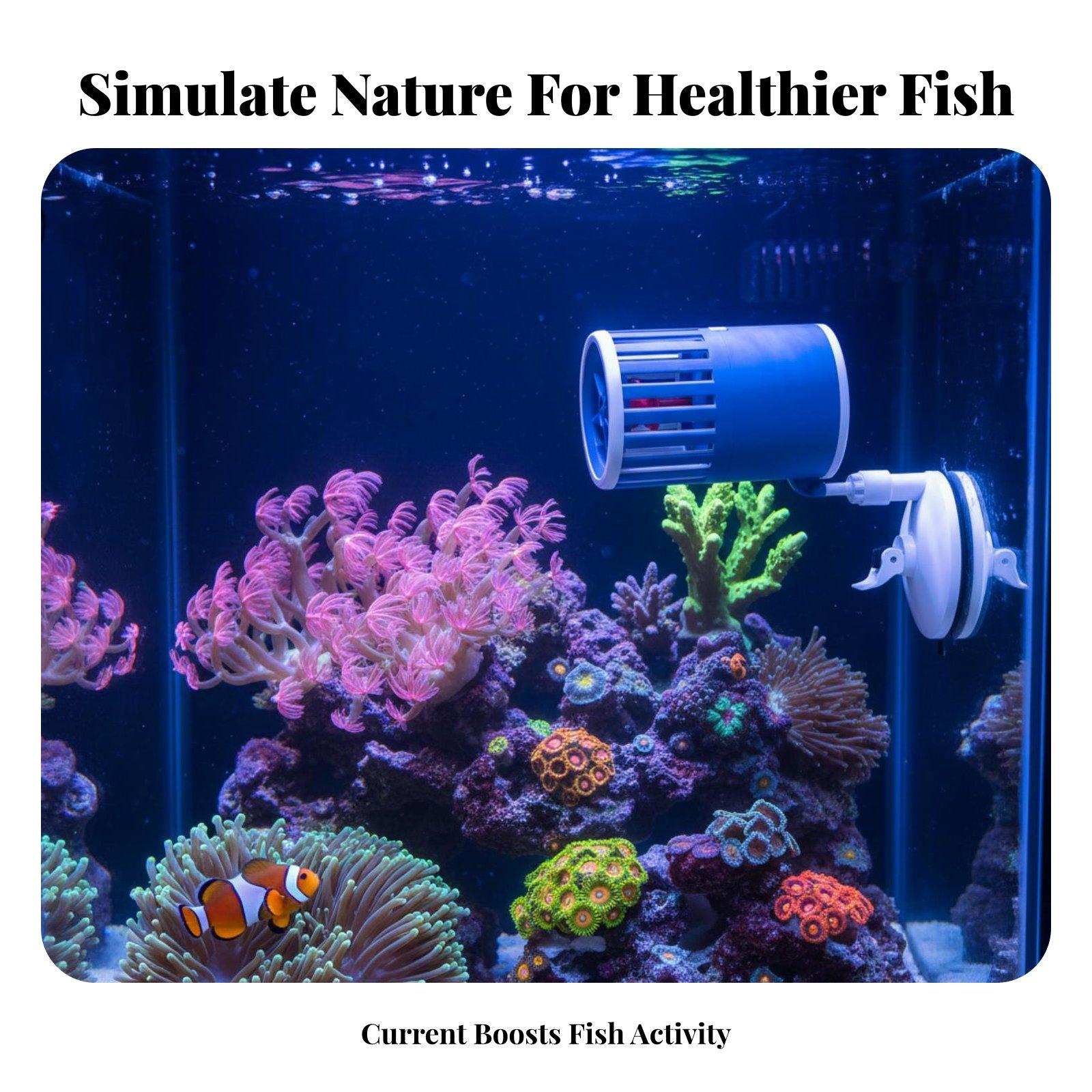 Fish Tank Wave Maker Submersib - Marine Aquarium Wave Maker ulasan dan harga