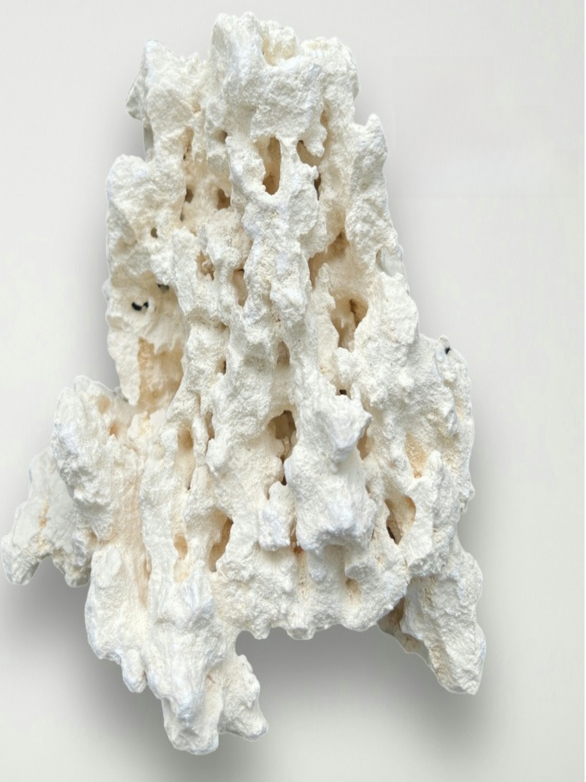 Kilago Dry Rock Natural Coral  - Aquarium Marine Rock ulasan dan harga