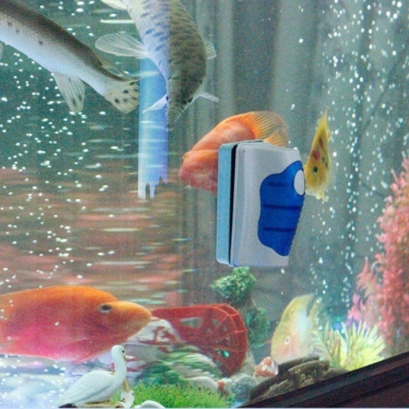 Fish Tank Glass Scraper Cleane - Marine Aquarium Glass Scraper ulasan dan harga
