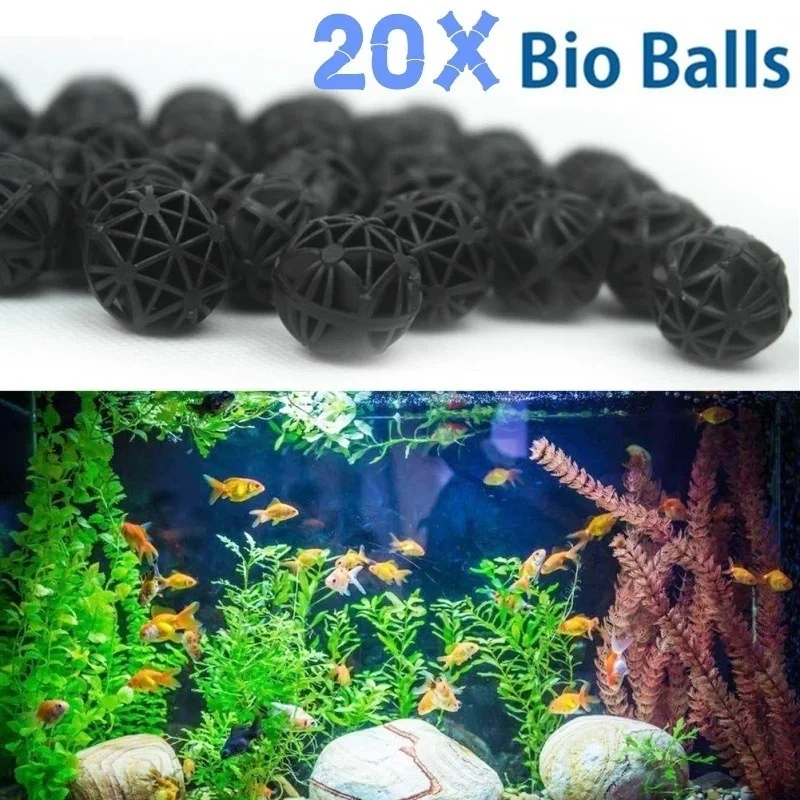 20Pcs 16mm Aquarium Filter Bio - Marine Aquarium & Regional Centre Photos ulasan dan harga