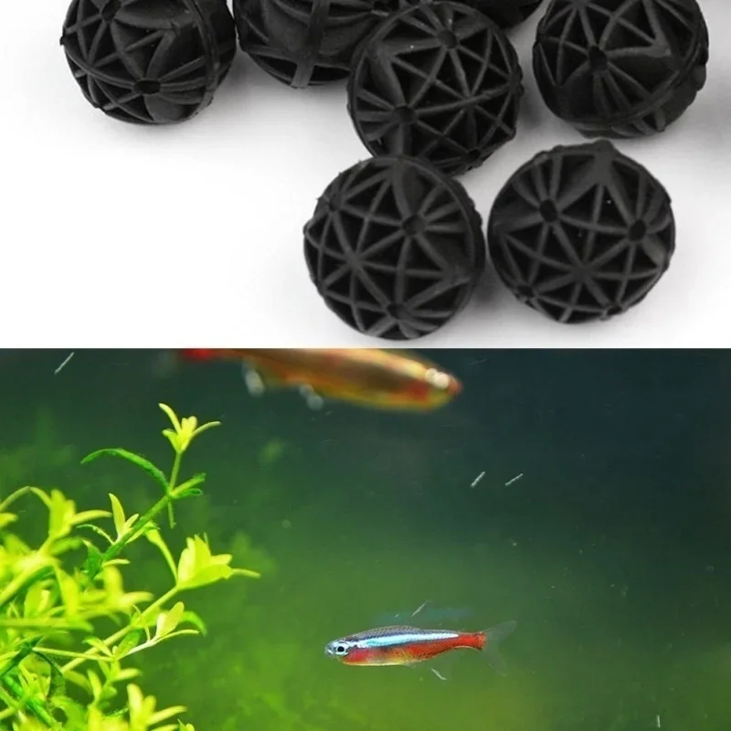 20Pcs 16mm Aquarium Filter Bio - Marine Aquarium & Regional Centre Photos ulasan dan harga