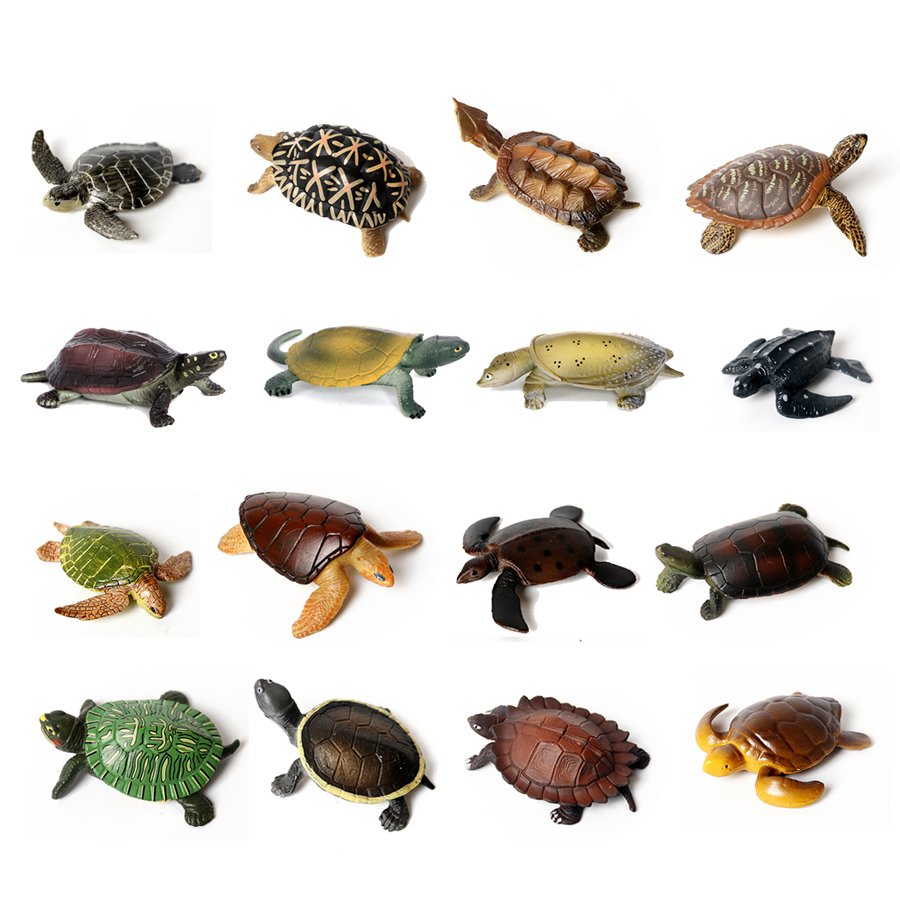 Realistic Miniatures Marine Li - Marine Aquarium & Regional Centre Photos ulasan dan harga