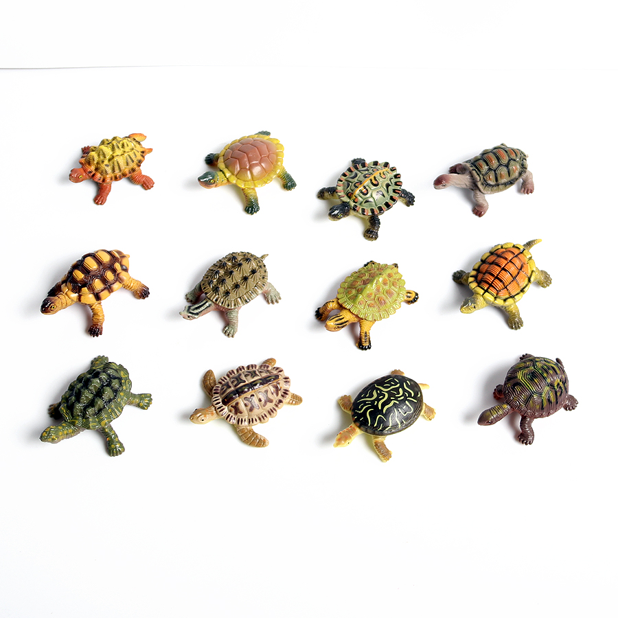 Realistic Miniatures Marine Li - Marine Aquarium & Regional Centre Photos ulasan dan harga