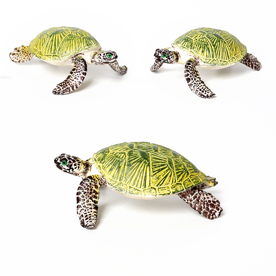 Realistic Miniatures Marine Li - Marine Aquarium & Regional Centre Photos ulasan dan harga